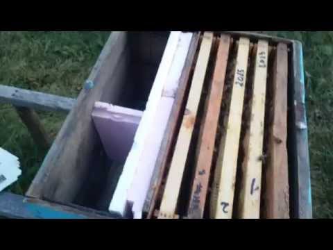 Impachetarea stupilor pentru iernat 2015