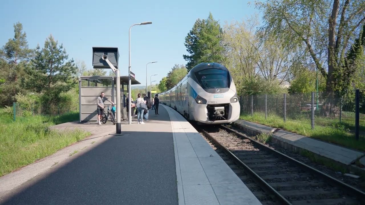 Pays de Niederbronn-les-Bains – Aménager, Innover, Partager, Explorer | Découvrez notre territoire !