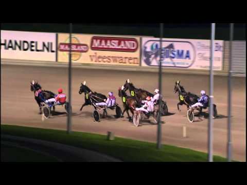 Victoria Park Wolvega 3-10-2015 KOERS 9 EXCEPTIONAL BOKO - D.P. TESSELAAR
