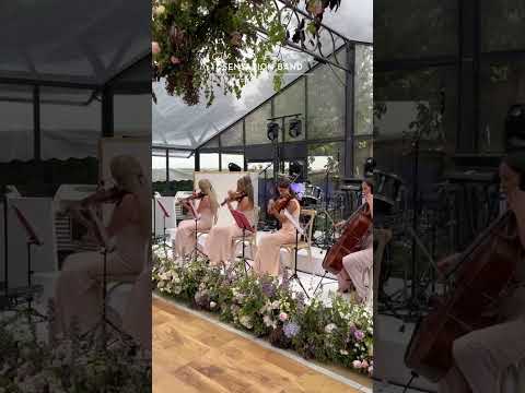INCREDIBLE string Quartet!!! (Marquee wedding)