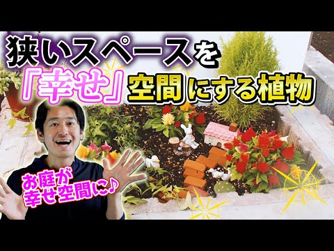 jardin-vertical-brise-vue-plantes-vertes