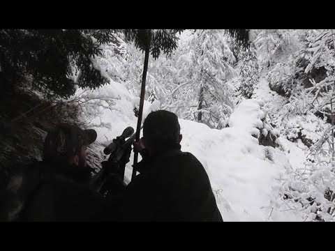 Polowanie Na Lucjana - malenta