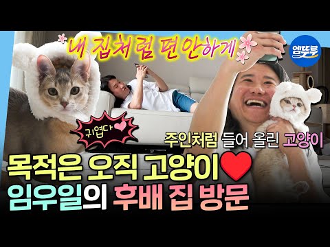 [나혼자산다] 시켜줘 명예 집사 후배 집 돌면서 고양이랑 놀아주는 임우일