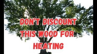 This is my favorite early and late season wood for heating my home. Wood Wednesday