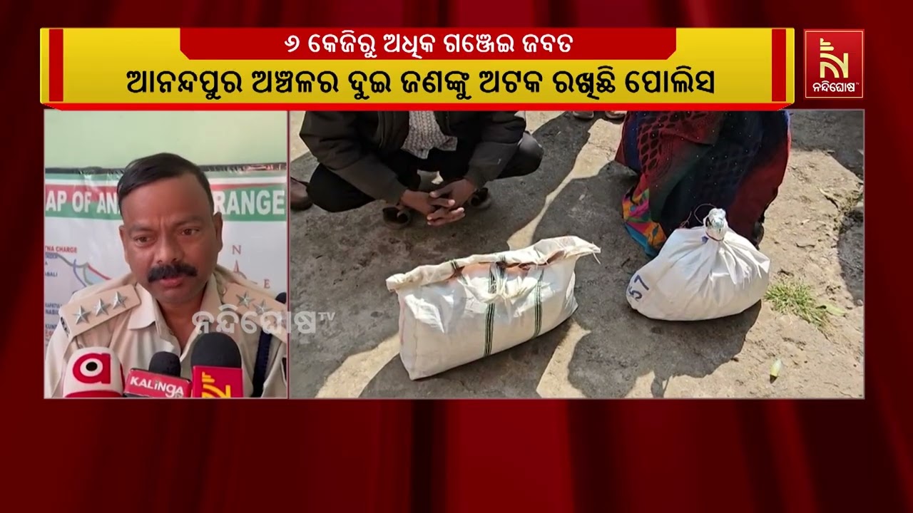 Excise Department Nabs Two While Smuggling Ganja Tied to Their Bodies | NandighoshaTV