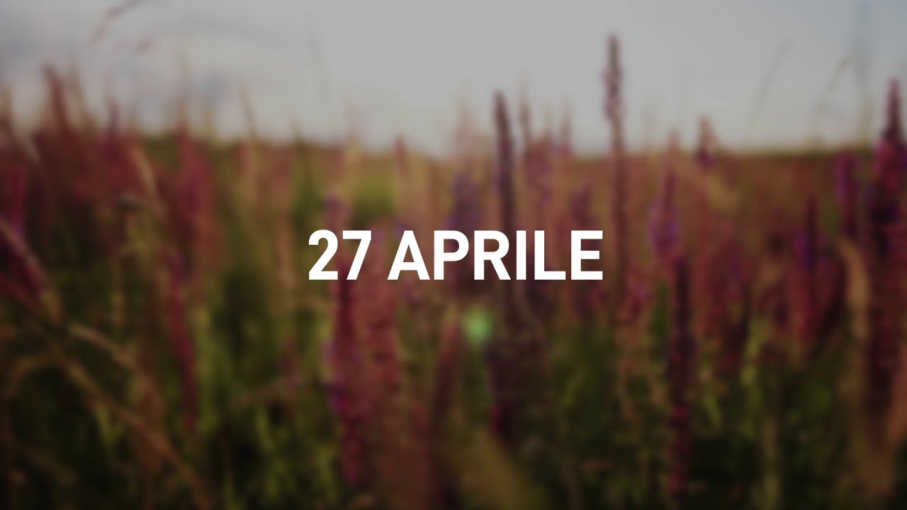27 Aprile 2025 | Meditazione Parole di Vita