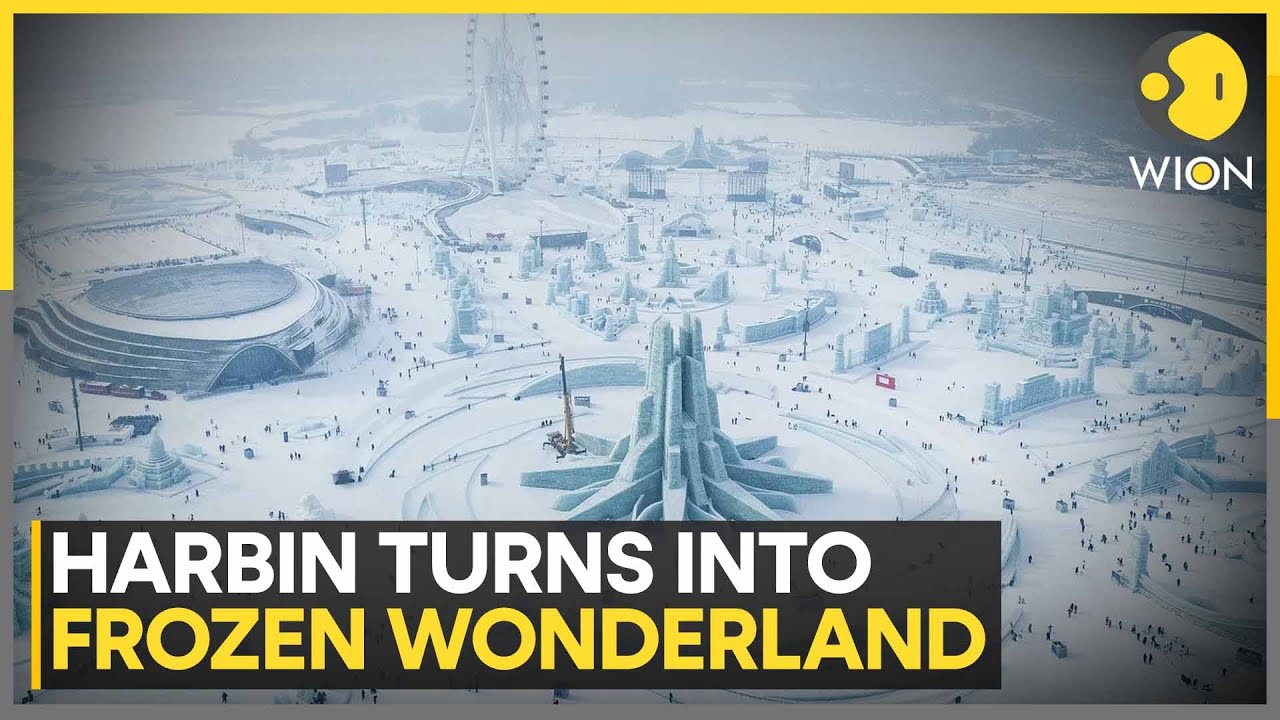 China's Harbin Turns Fairy Tale Fantasy with Biggest-Ever Ice Festival | WION