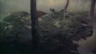 Bambi~Dream Away~The Pagemaster