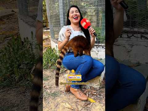 Você precisa conhecer o Parque Zoobotanico de Marabá! #turismoecológico #pontosturísticos #maraba