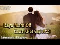 Haye Mera Dil Chura Ke Instrumental Ringtone Download I Ringtone Wale