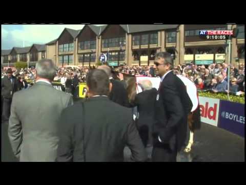 Willie Mullins Update on Faugheen and Hurricane Fly