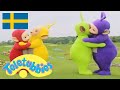 Teletubbies Svenska Säsong 9 Episod 216 HD Visar För Barn