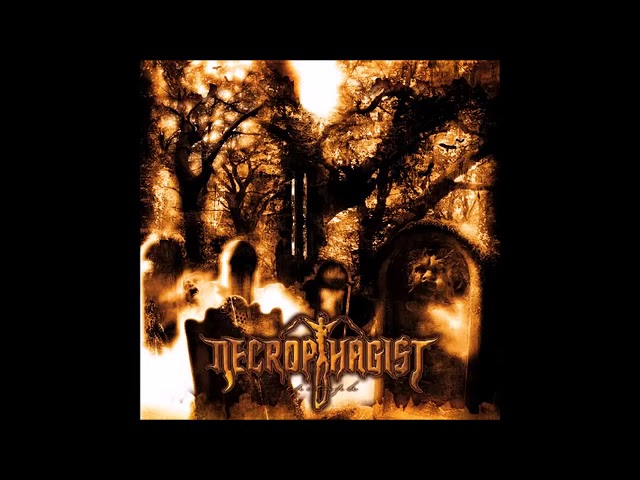 Vídeo relacionado con Piwine Necrophagist Epitaph Technical Death Metal Classic Mens T-Shirt Black Size M
