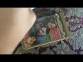 Fly Away Home VHS Review