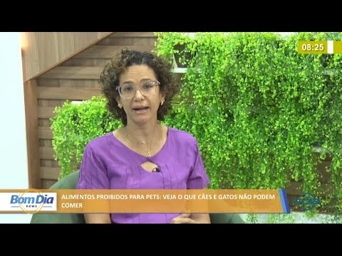 Alimentos proibidos para cães e gatos 08 07 2021