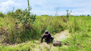 Amazing traditional fishing by hand at the forest near the lake
