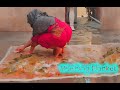 Hot Aunty Washing Clothes Vlog