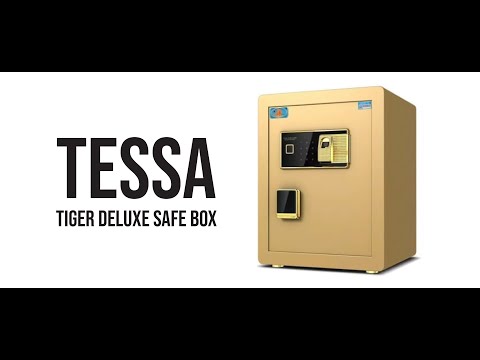 Tessa Tiger Deluxe Commercial Safety Box (w Finger Print)