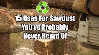 15 Ways To Reuse Sawdust