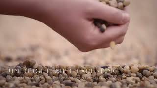 PANACEA, professional bed harnesses therapeutic properties of heat combined with quartz sand grains
