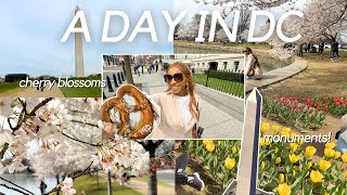 SPEND DAY IN DC | cherry blossoms