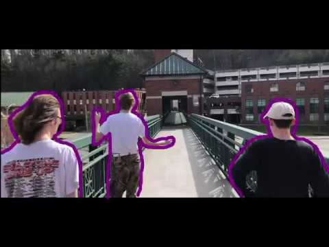 RASPBERRIES (GOONAR x GOLDSOUL)