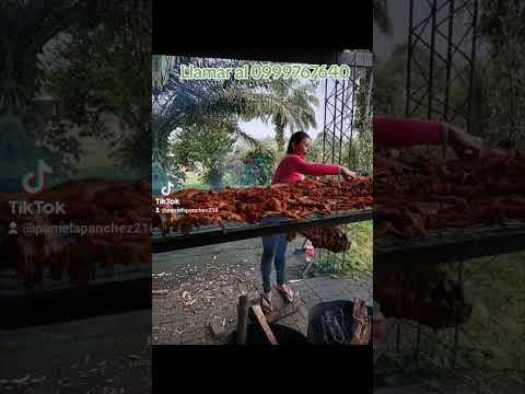 cantón Pedro Vicente maldonado