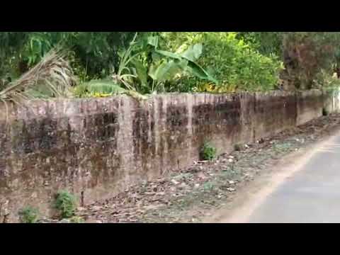 the beauty of Kerala and it's beaches 🏖️🌊.#ridafirdose #vlogging #kerala