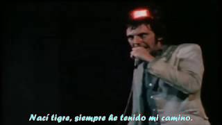 Doctor Feelgood - My Way (Mi Manera) SUBTÍTULOS en Español