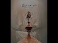 Wiladat E Maula Ali A S 13 Rajab Status Allama Nasir Abbas Hussaini Writes