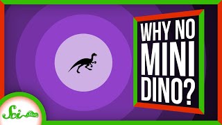 Where Are All the Tiny Dinosaurs?