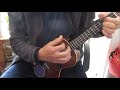 Mr Rabbit Mr Rabbit  (Burl Ives song with new verses)