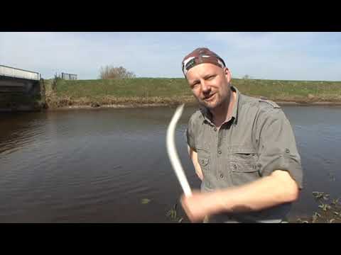 Matze Koch: Angelschule - Anfüttern