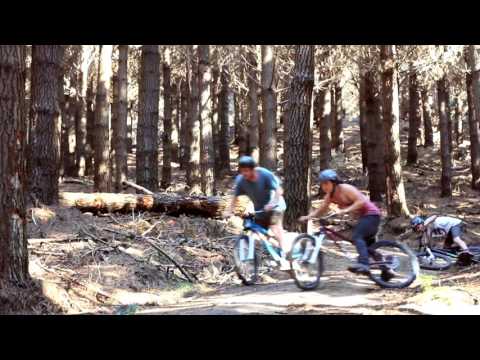 BlazeTech Presents : Blunt Force Trauma  (Trailer)