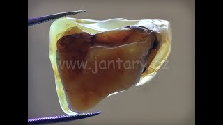 Okno do baltského jantaru PO-7