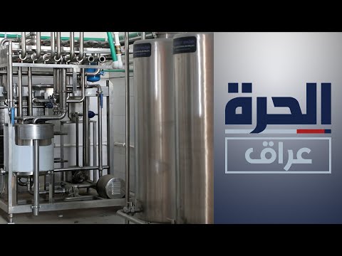 شاهد بالفيديو.. جامعة إيطالية تمول مصنعا للألبان في أهوار الجبايش