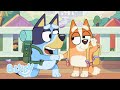 A Apresentação Bluey Português Brasil Canal Oficial