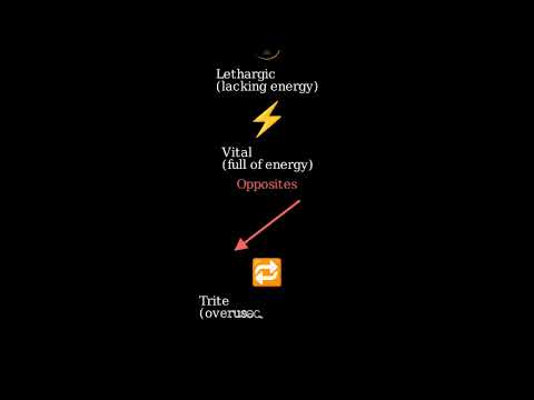 Lethargic Vital Trite Analogy