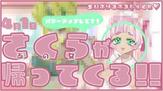 【初コラボ】すずめのさくらのお友達がデビューしました！です♡⁺。【えいぷりるぷろじぇくと】