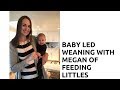 Intro to BLW with Megan of Feeding Littles