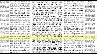 דף היומי סנהדרין דף לו