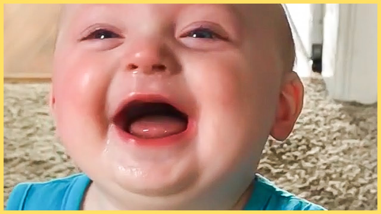 BEST Baby Laughing Video Compilation Ever!