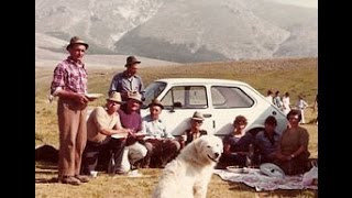 preview picture of video 'Raduno nazionale di Todi del cane da Pastore Maremmano Abruzzese'