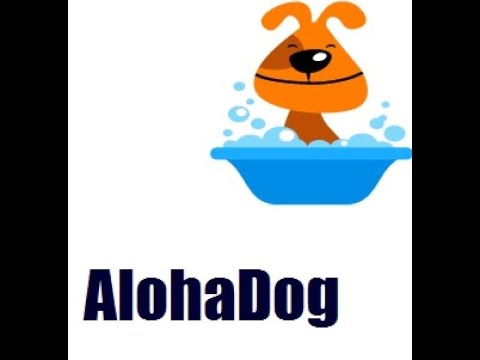 愛犬リーダーシップのメンタルトレーニングします イメージ1