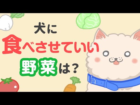犬に禁止されている果物と野菜