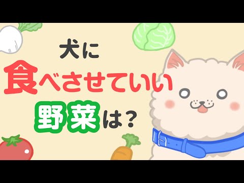 , title : '犬にあげて良い野菜・絶対に与えてはダメな野菜'