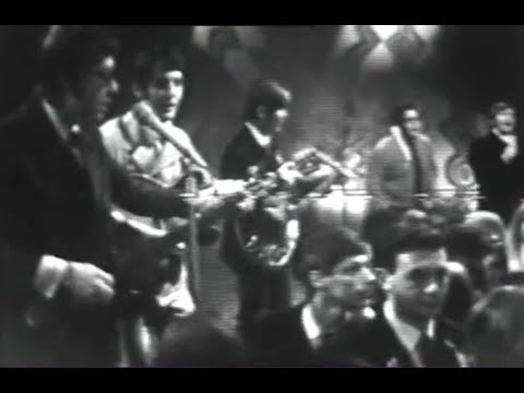 The Turtles - She'd Rather Be With Me on Top Of The Pops 1967 (stereo)