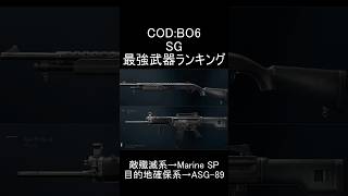【CoDBO6】SG最強武器ランキング【コールオブデューティブラックオプス6】