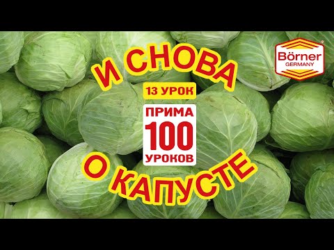 #ПРИМА100уроков, - 13, и снова о капусте! 4 толщины и плододержатель. Börner овощерезка «Прима»