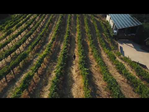 Byington Vineyard & Winery - It Doesn't Get Better Than This